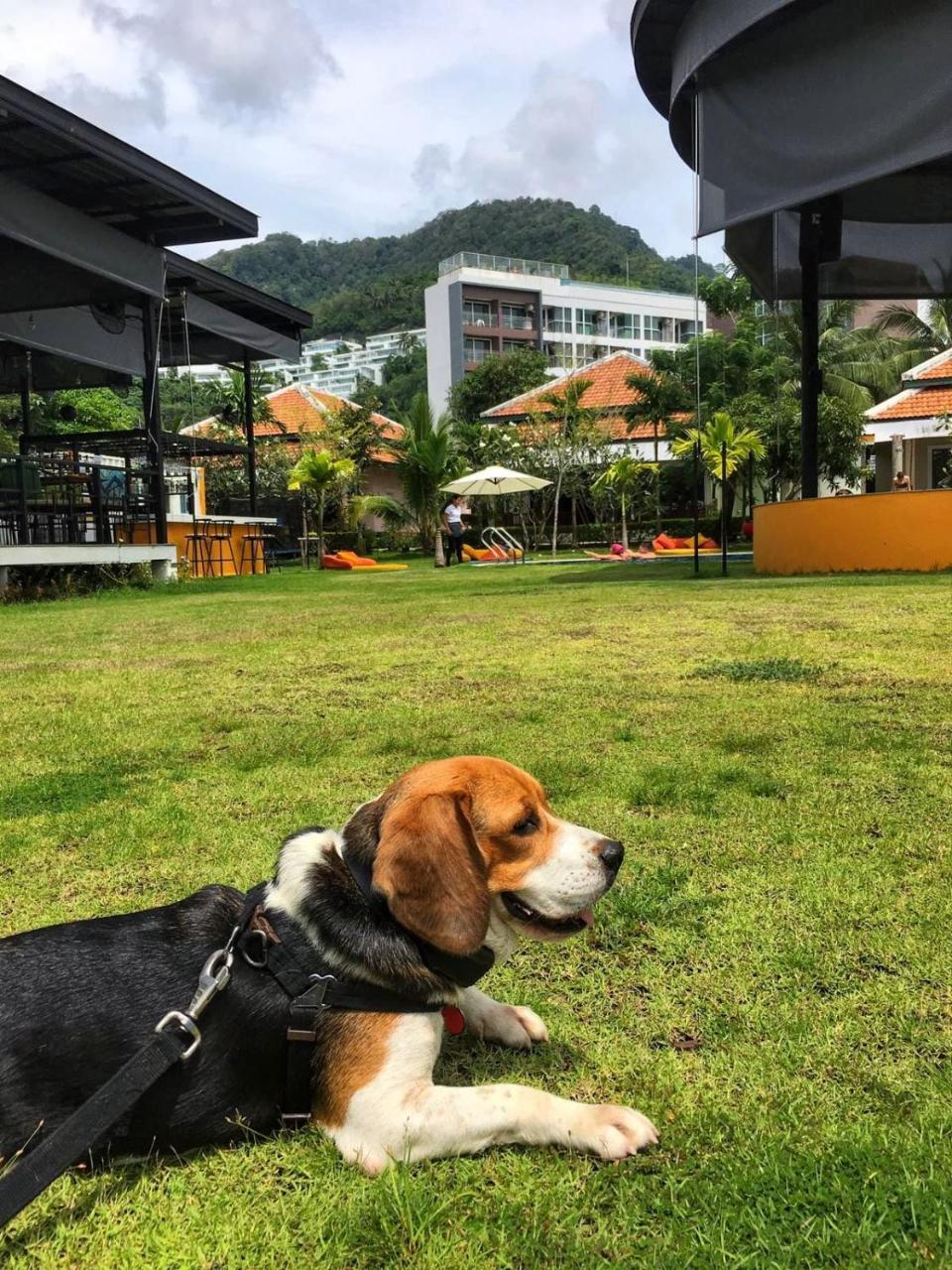 Jazz U Garden Resort Kata Plajı Dış mekan fotoğraf
